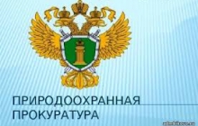 Осуждены за вырубку леса