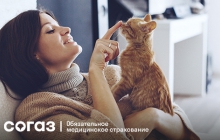 О внимании к аллергии   