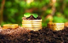 Инвестиционная возможность