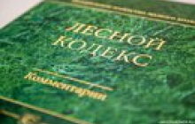 Ответственность за незаконную вырубку лесов