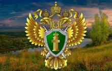 Возмещение ущерба и рекультивация